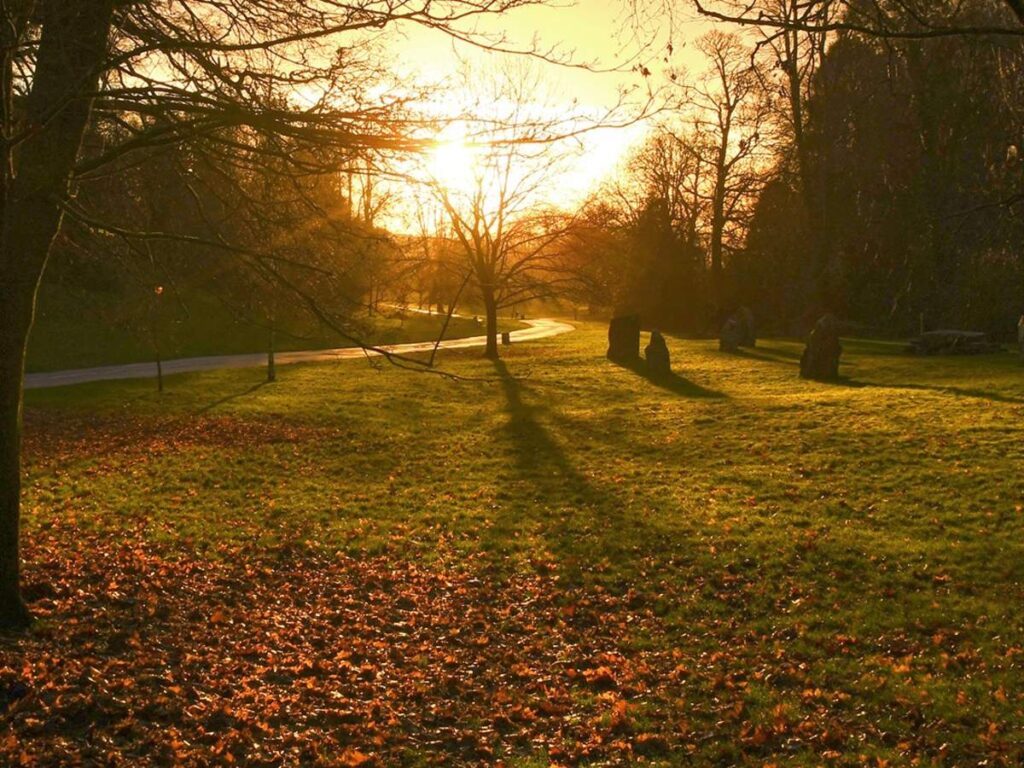 singleton park from Swansea bay website
